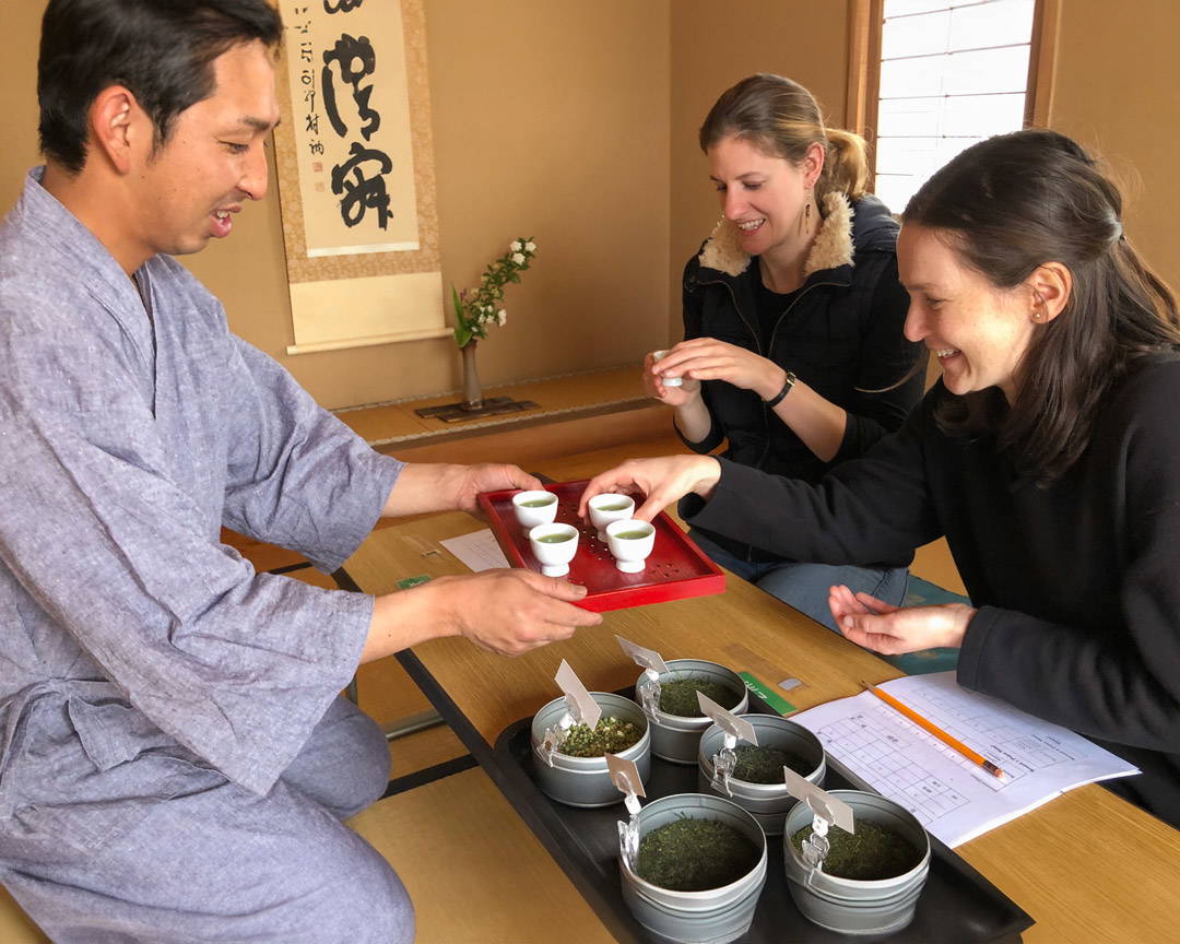 Tea Plantation Tour, Factory Visit, & Tasting in Shizuoka 6