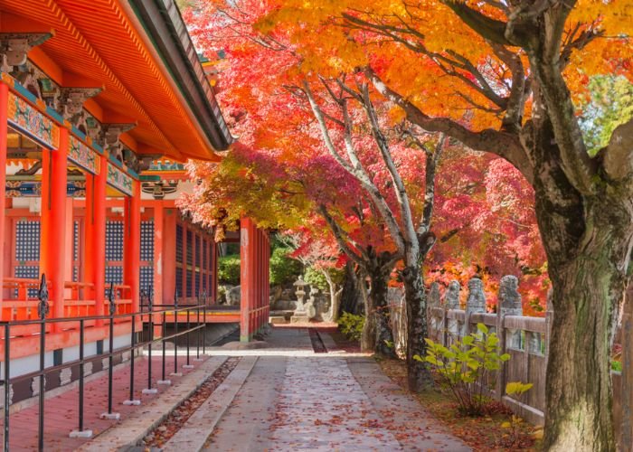 A photo of a Hiroshima temple featuring fall foliage.