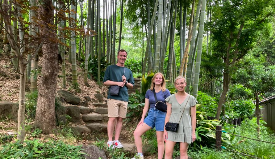 Three guests walking through a scenic bamboo forest in Tokyo.