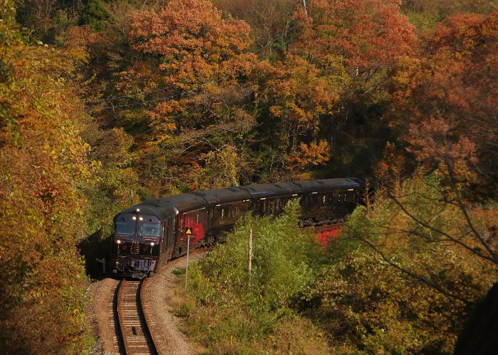 A distance shot of the luxury sightseeing train Seven Stars in Kyushu