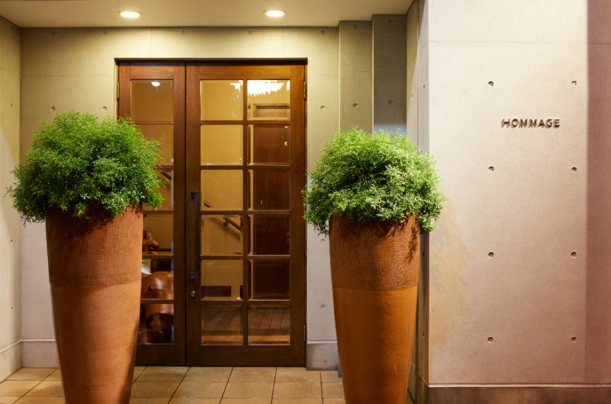 The welcoming entrance to HOMMAGE, brightly lit and decorated with potted plants.