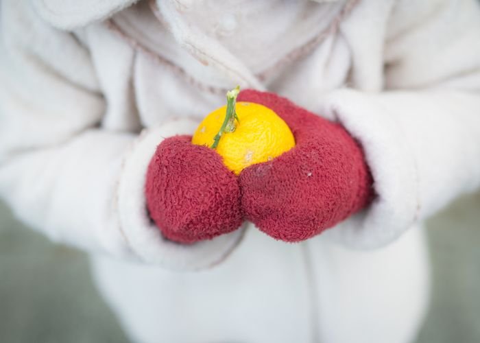 A child holding a yuzu citrus fruit