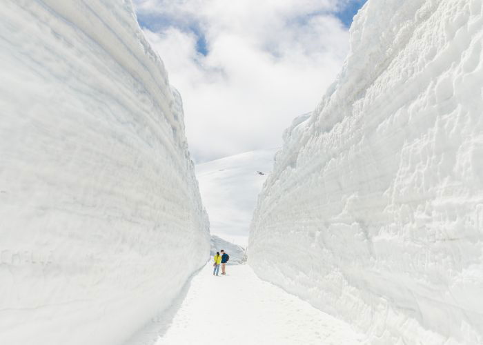The snow walls of Tateyama Kurobe Alpine Route