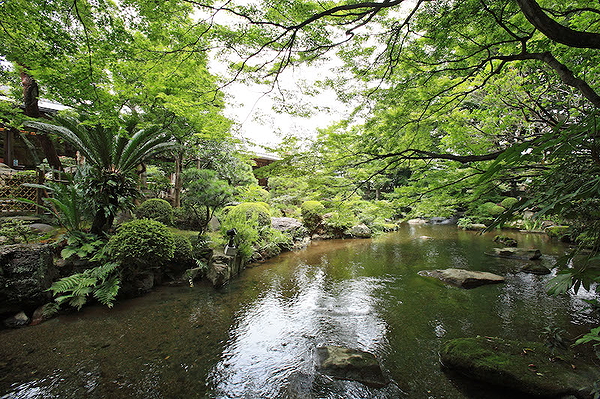 Serene garden view at a tranquil outdoor restaurant
