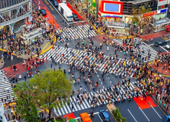A bird's-eye-view of Shibuya Scramble