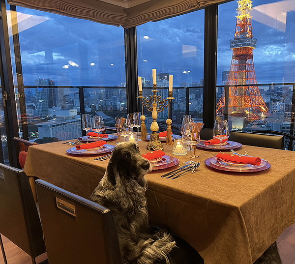 Japanese Dinner Party With a View of Tokyo Tower 1