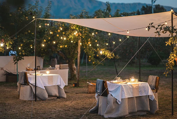 Orchard Tour in Nagano With Outdoor Fine Dining Experience 7