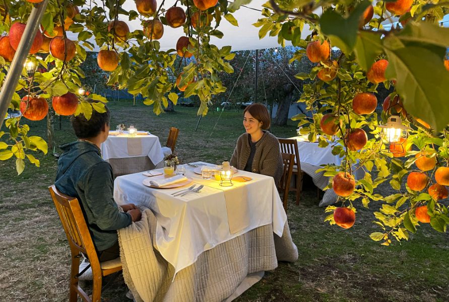 Fine dining in this Nagano orchard, surrounded by premium fruits.