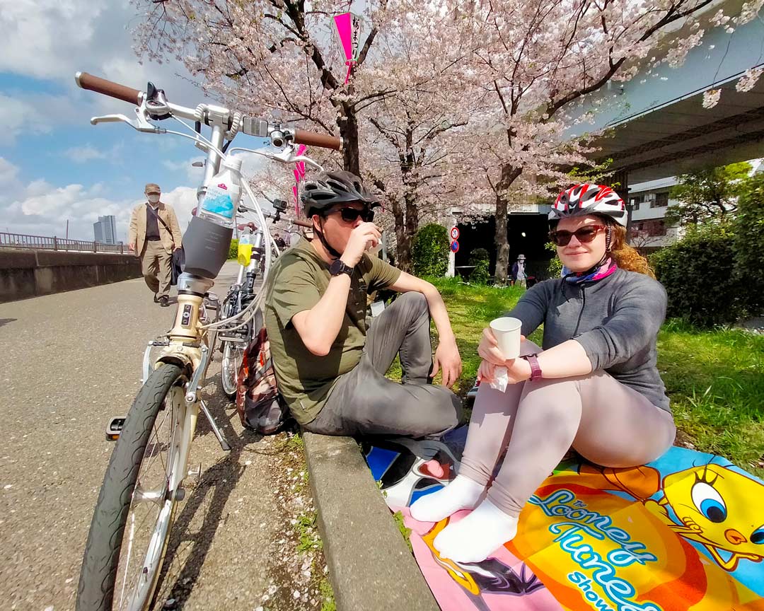 People relaxing under the cherry blossom on this Tokyo bike tour.