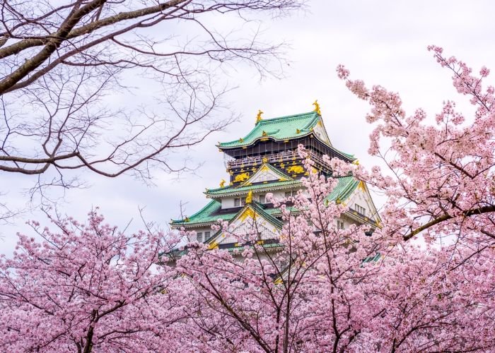 Osaka Castle surrounded by cherry blossoms