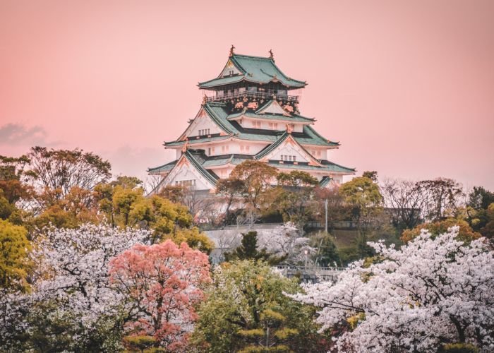 Osaka Castle surrounded by cherry blossoms