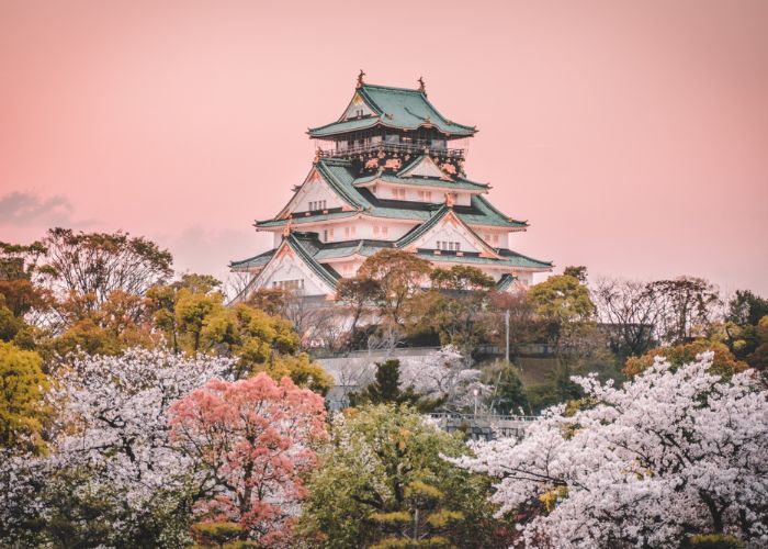 The famous Osaka Castle surrounded by cherry blossoms.