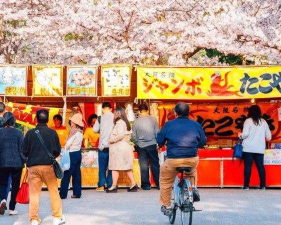 Cherry Blossom Food Tour in Osaka