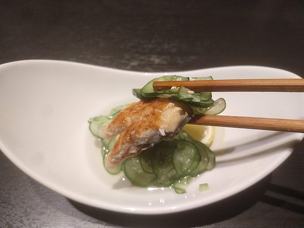 Grilled fish with cucumber served elegantly at a gourmet restaurant.