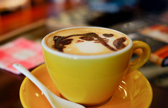 Tokyo cat cafe: weird cafes in Japan