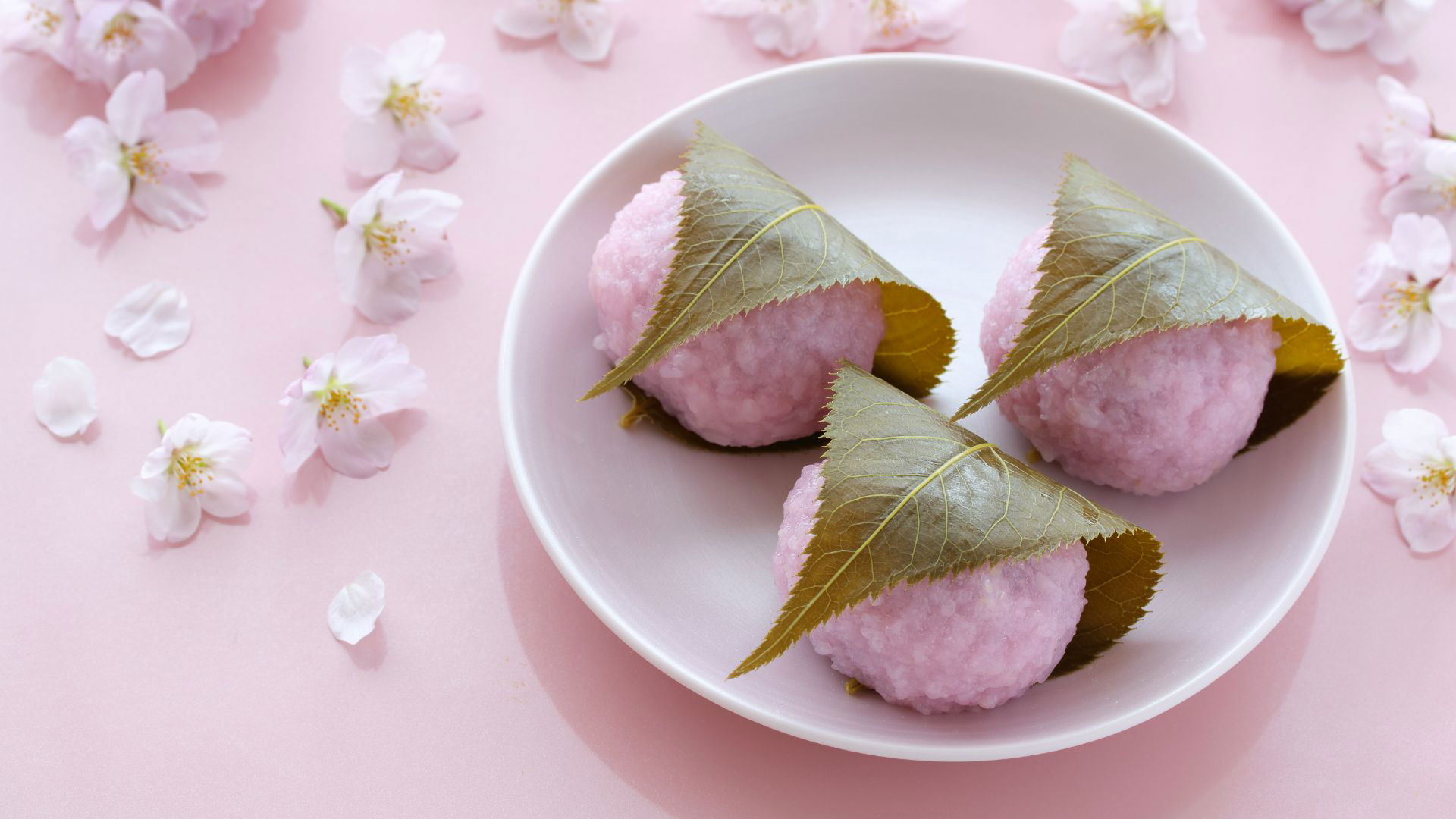 Sakura mochi on a plate surrounded by cherry blossoms