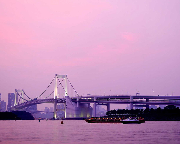 Tokyo Bay Private Lunch or Dinner Yakatabune Boat Cruise 1