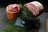 Premium Wagyu beef display with natural garnishes