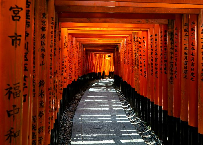 A shot taken at Fushimi Inari Shrine, looking through the walkway of endless torii gates on a sunny day.