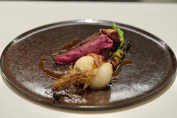Gourmet duck breast dish with carrots and onions