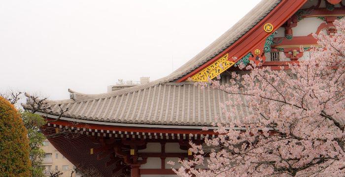 edo- asakusa