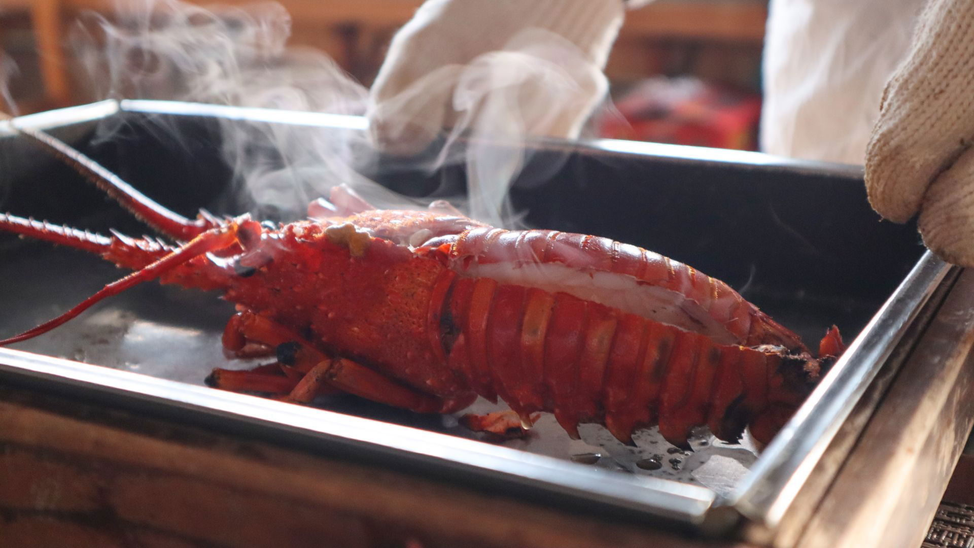 Steaming freshly cooked lobster in a baking tray