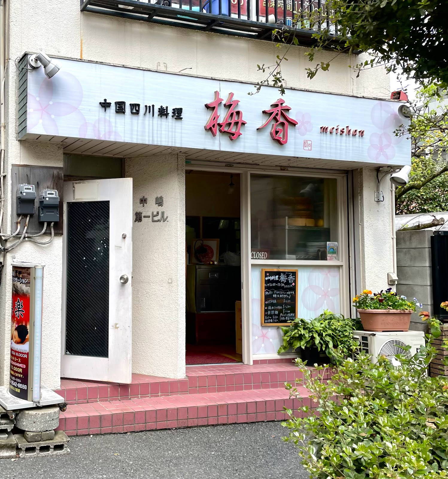 Meishan 9