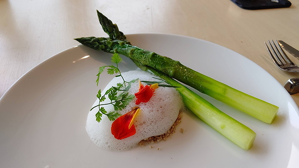 Gourmet asparagus dish with foam and flowers