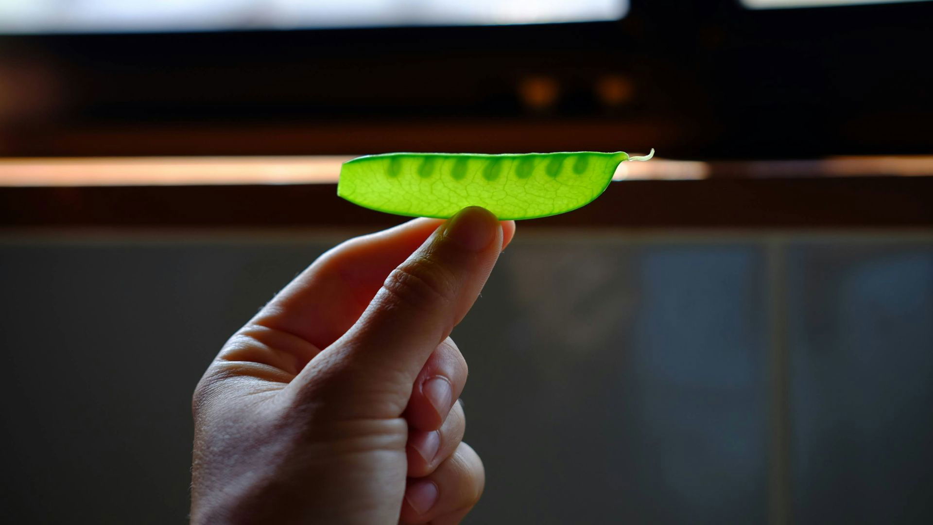 Image Slider