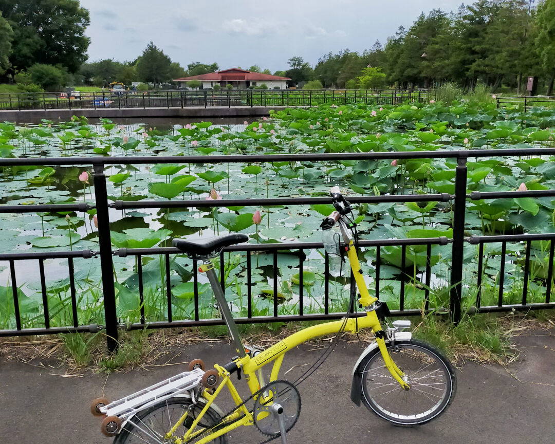 Backstreets of Shibamata Private Bike Tour w/ Lunch & Coffee 1