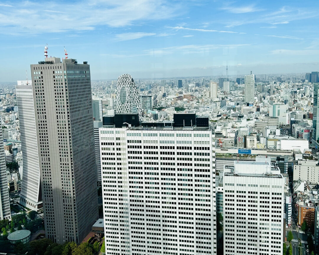 Shinjuku Sightseeing Tour with Traditional Japanese Lunch 1
