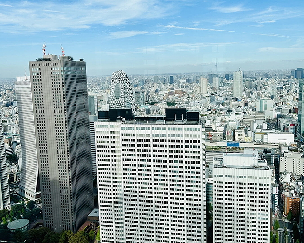 Shinjuku Sightseeing Tour with Traditional Japanese Lunch 1