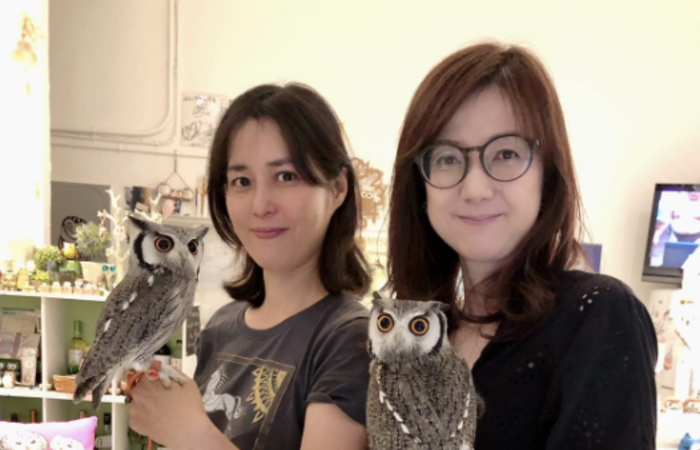 owls cafe