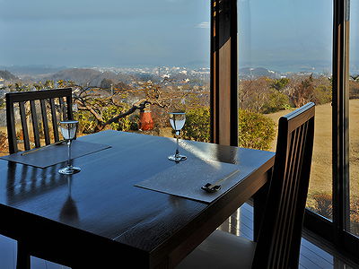 Scenic restaurant view with elegant dining setup