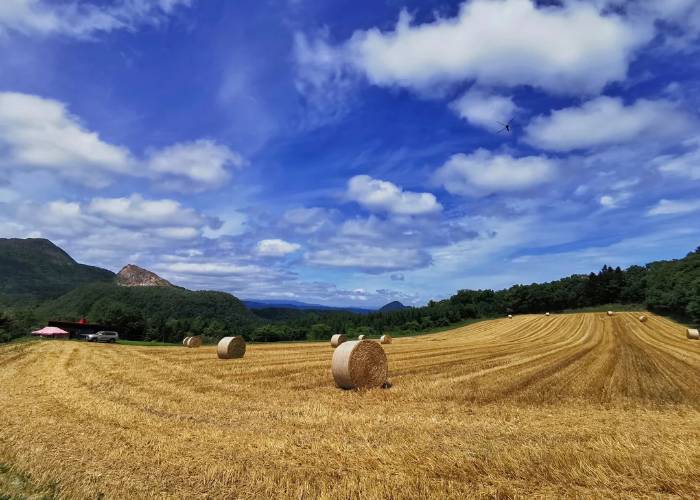 Hokkaido Farm Tour