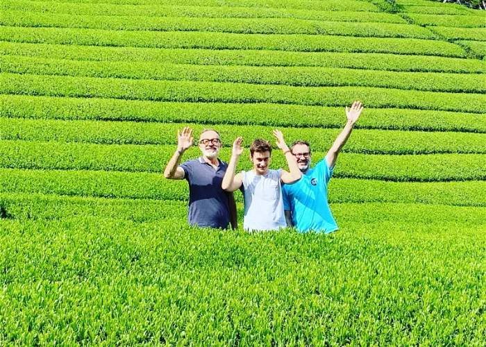 Tea Farm Tour in Shizuoka
