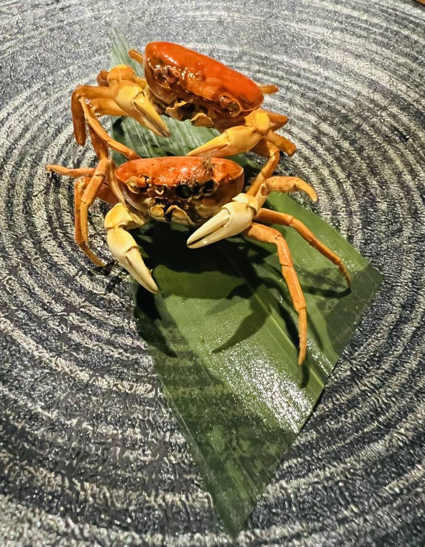 Fukuoka Food Tour: Try Regional Dishes with a Local Guide 5