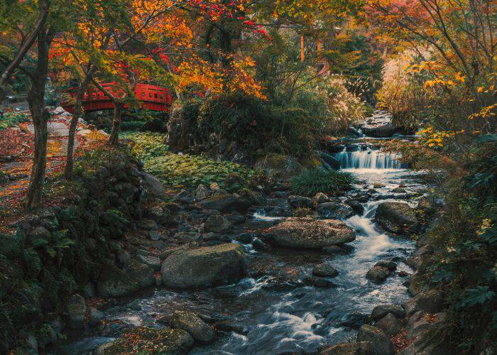 A red bridge in Japan, next to a flowing river during fall.