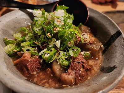 Gourmet beef stew garnished with fresh scallions in a rustic bowl