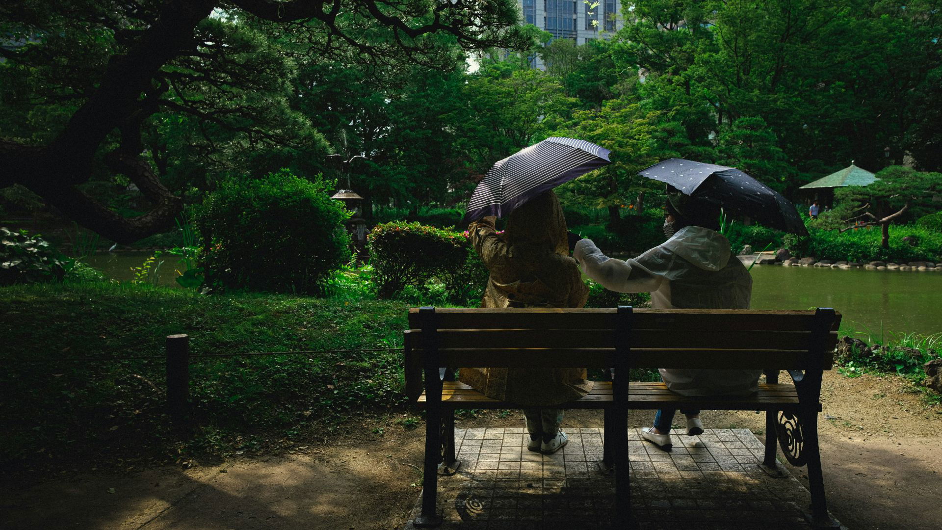 Image Slider
