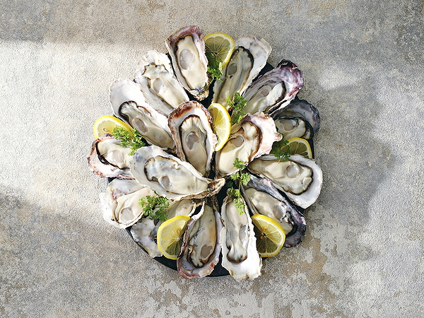 Elegant oyster platter with lemon and herbs on a rustic surface