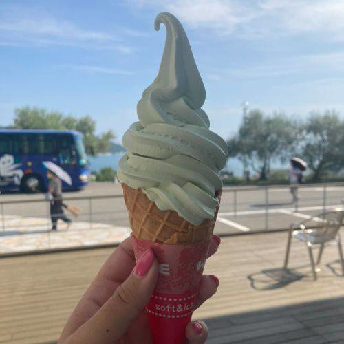 Olive Ice Cream at Shodoshima Olive Park, Kagawa, Japan