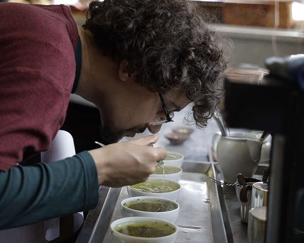Shizuoka Tea Tour: Blend Tea, Meet Farmers & Tour the Fields 6