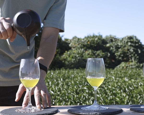 Tea Tour in Sayama (Saitama): Tour a +100-Year-Old Tea Farm 1