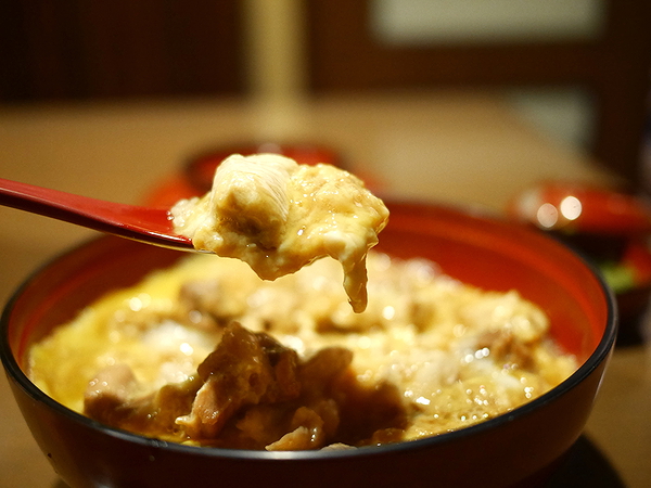 Delicious bowl of creamy curry in a red dish