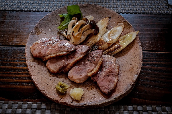 Gourmet duck breast with grilled vegetables on rustic plate