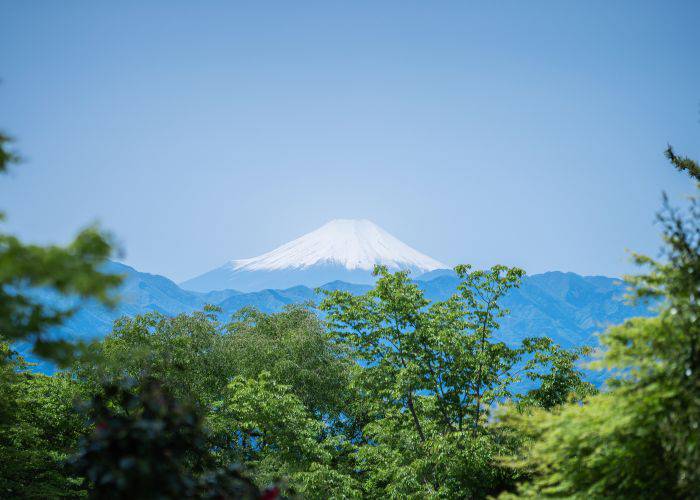 Mt. Fuji from Tokyo's Mt. Takao