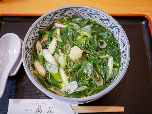 Bowl of soba noodles with fresh green onions and ginger topping