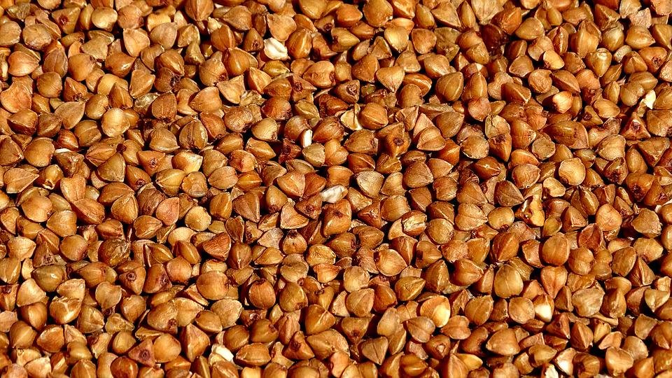 Buckwheat kernels, little buckwheat seeds