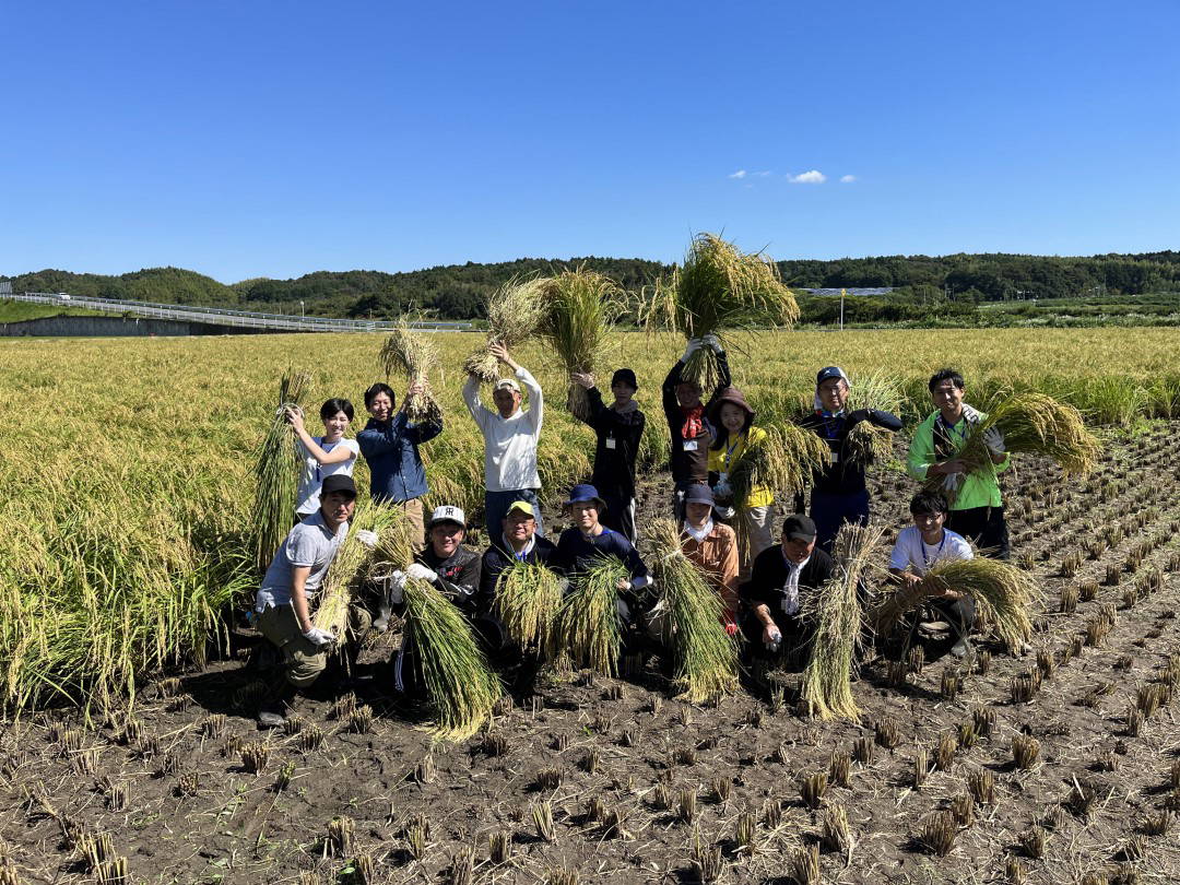 Private Japanese Rice Farm Tour w/ Lunch in Tsu, Mie 5